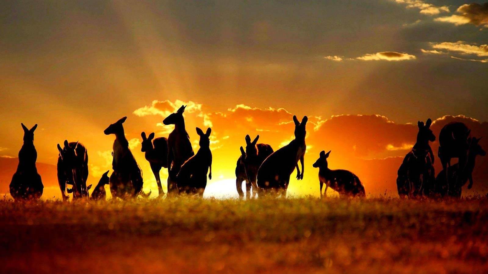 Around the World with Atlas, Australia